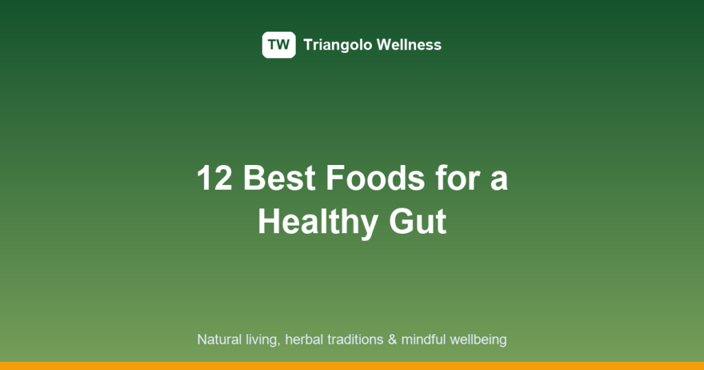 gut health foods featured image