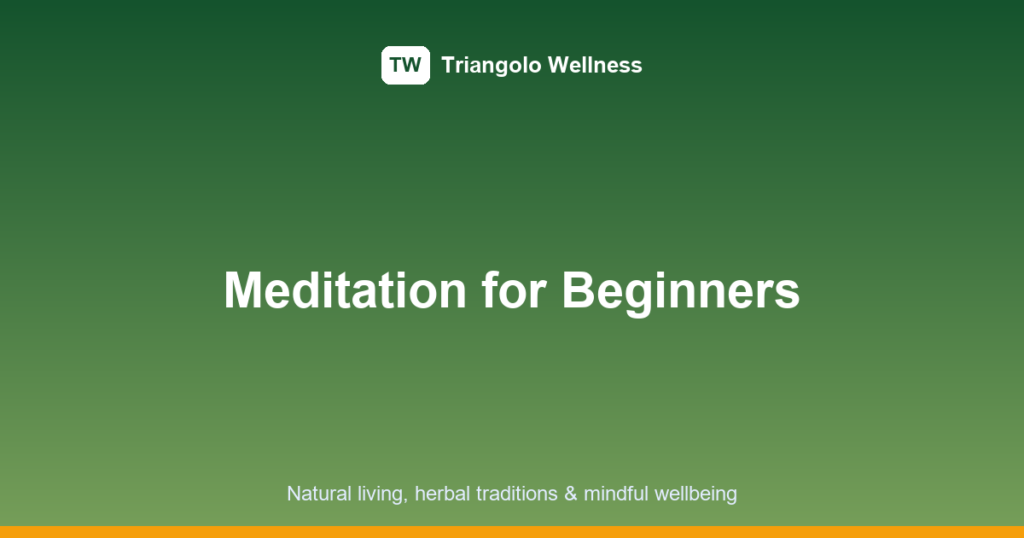 meditation for beginners featured image