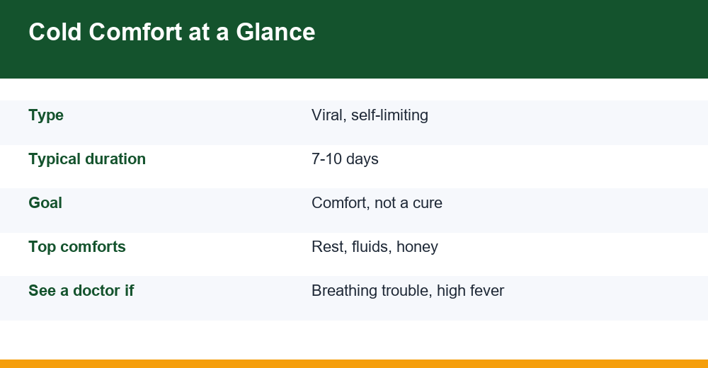 natural remedies for a cold — infographie