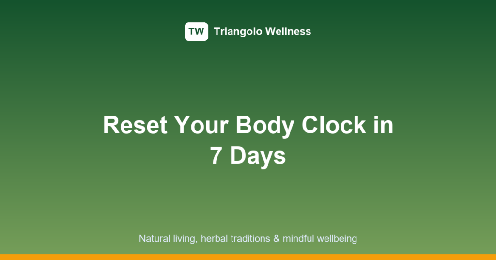 circadian rhythm reset featured image