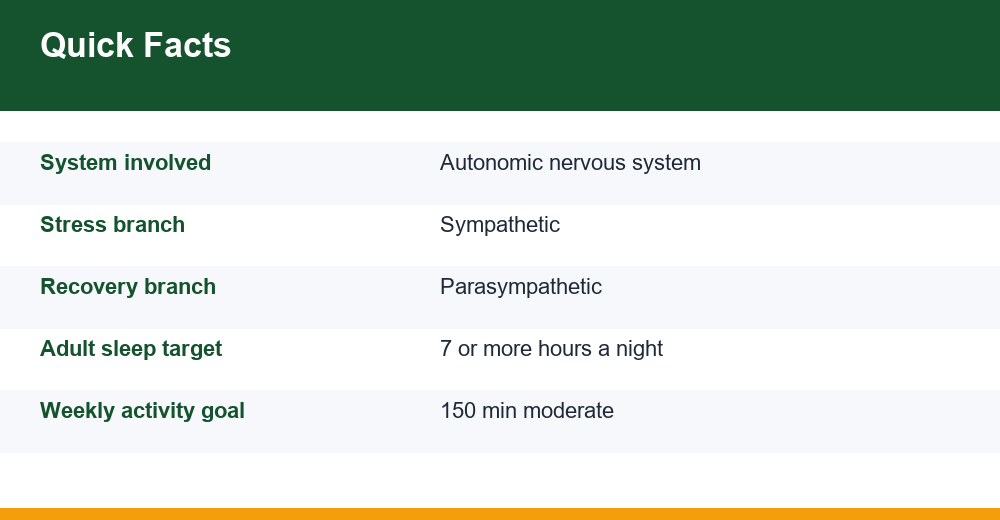 nervous system regulation — infographic